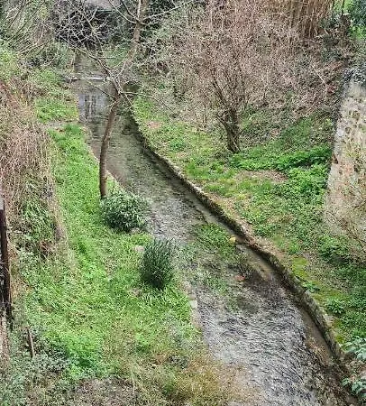 Origine